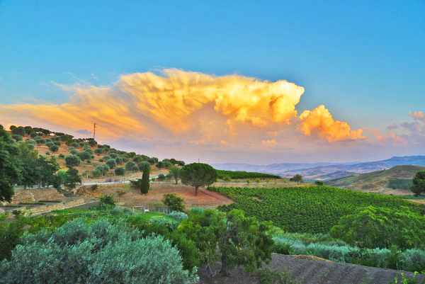 西西里岛 Sicily葡萄酒产区