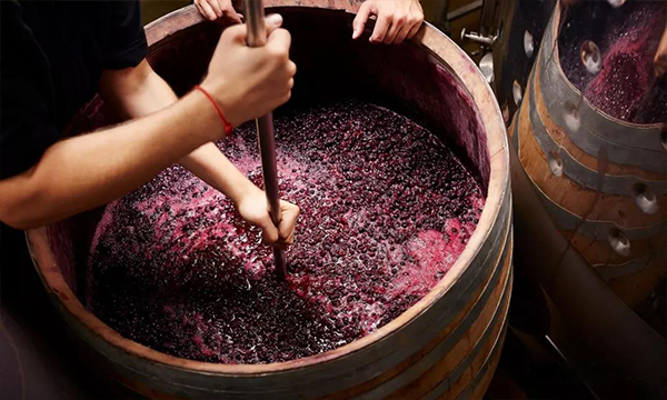 意大利葡萄酒的发酵