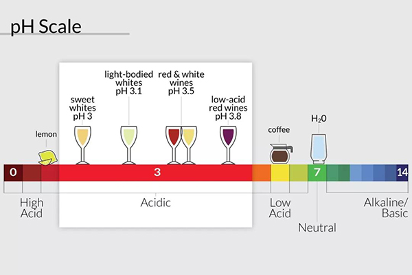 意大利酒评家说的酒体、平衡和结构到底是什么？-酸度(Acidity)